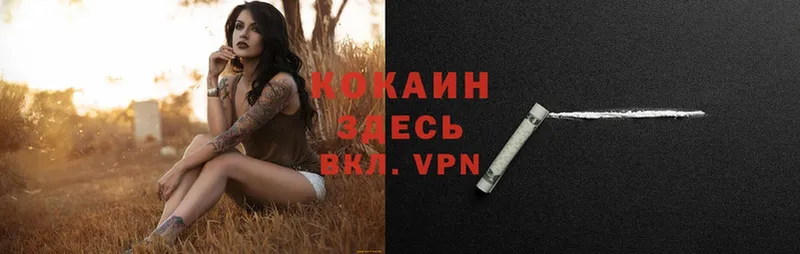 Все наркотики Камызяк ссылка на мегу ТОР  A-PVP  МЕФ  Каннабис  Cocaine  ГАШ 